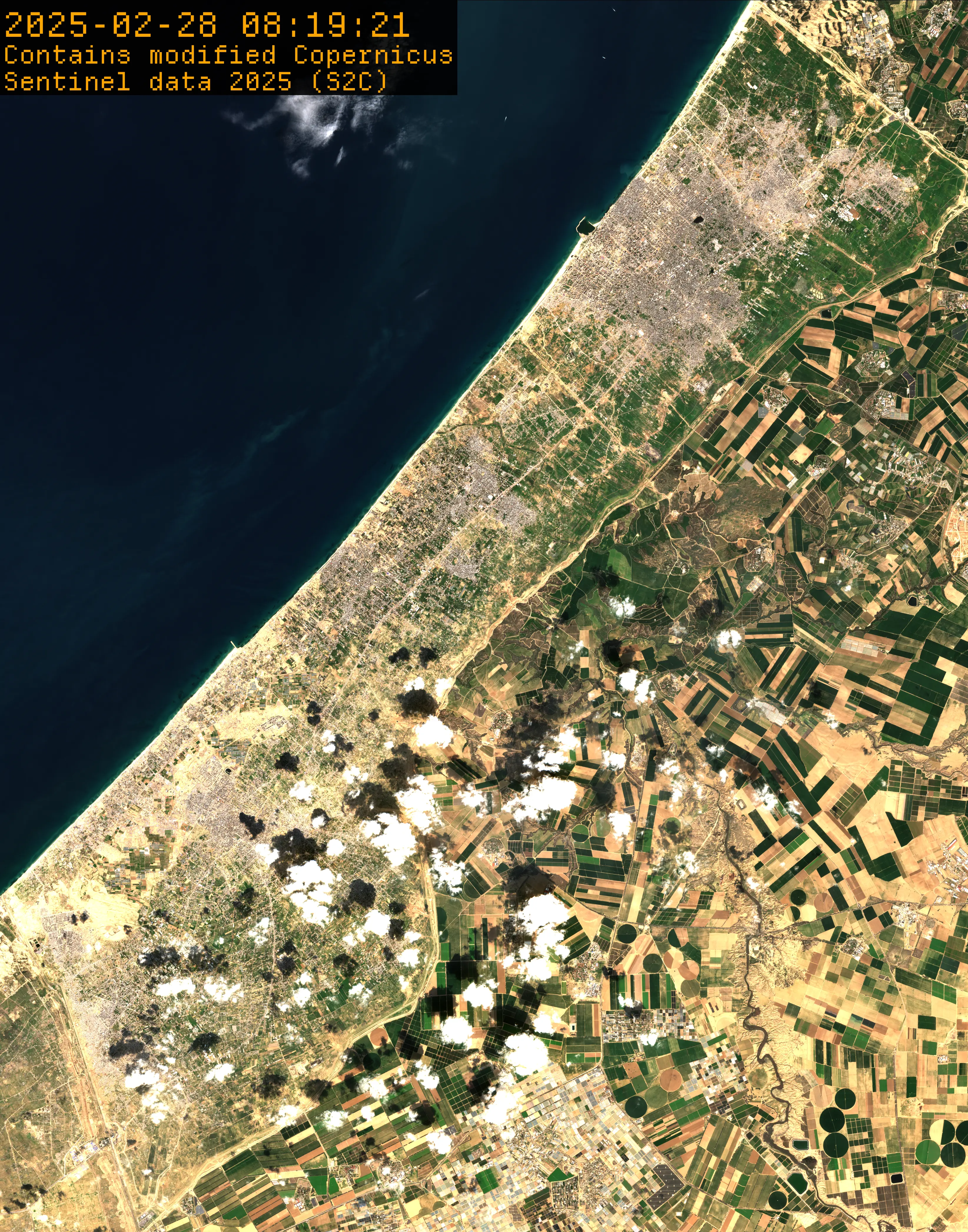 Asset pack preview 2