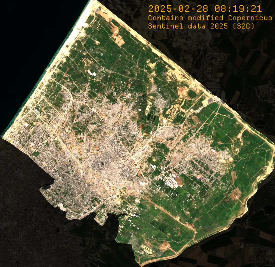 Asset pack preview 5