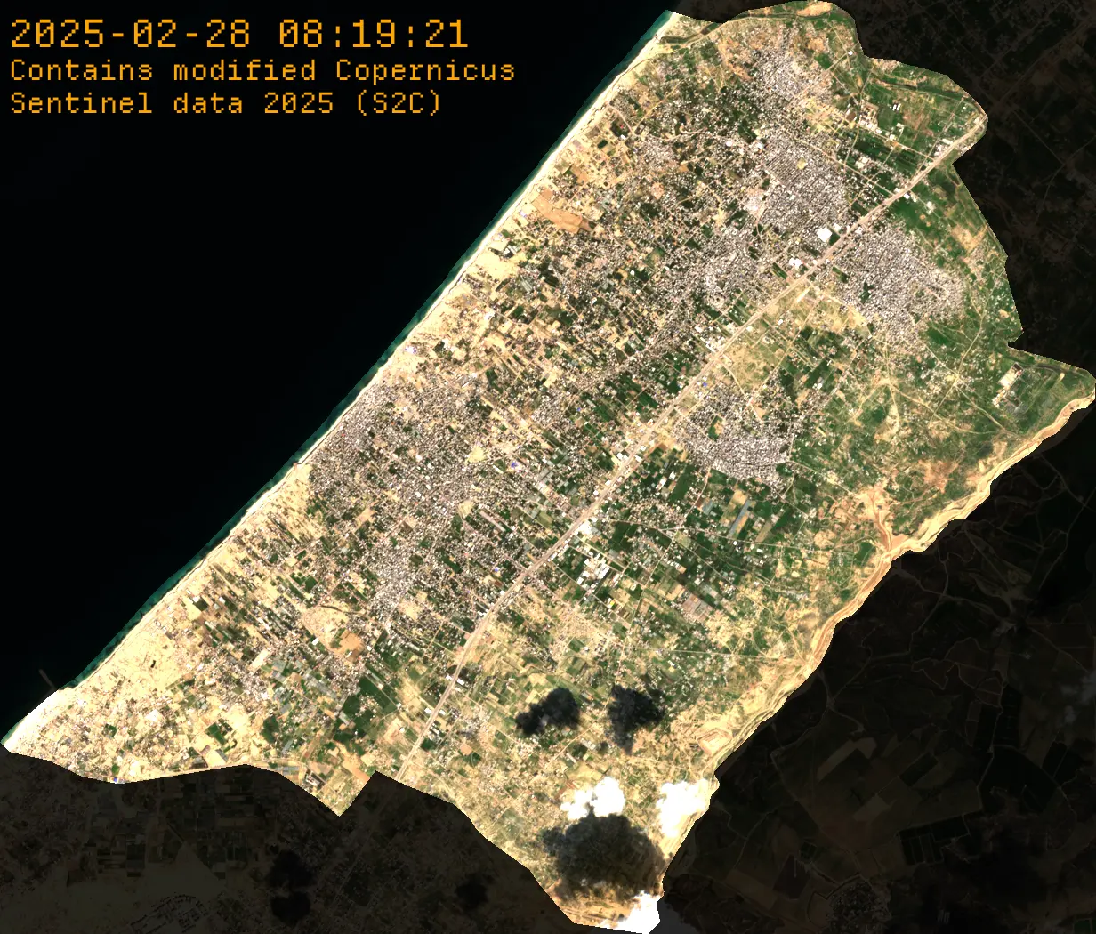 Asset pack preview 7