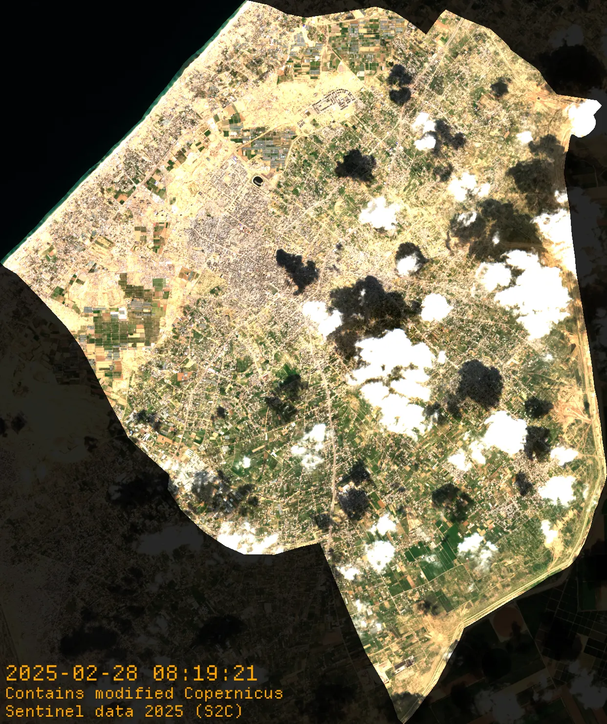 Asset pack preview 8