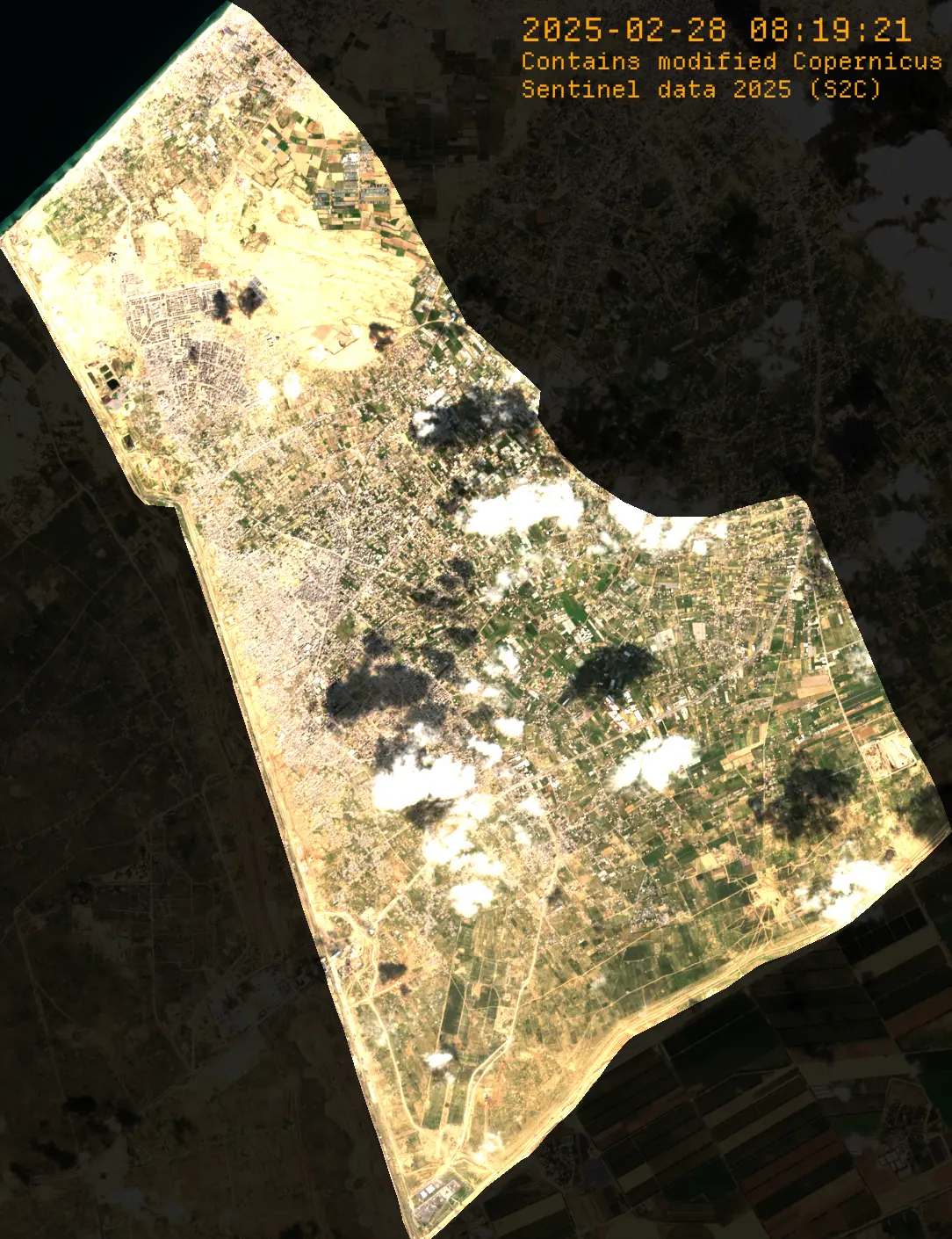 Asset pack preview 9