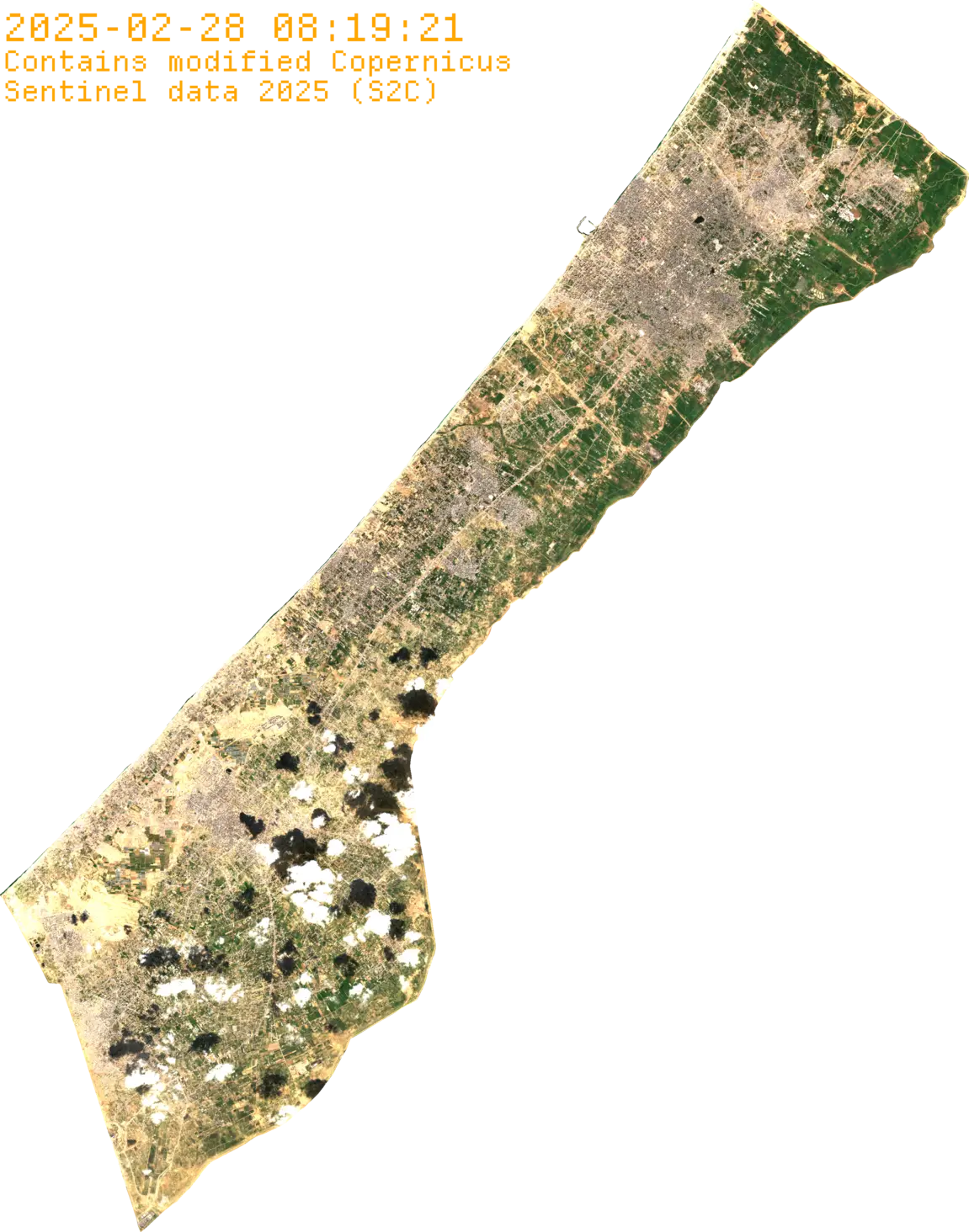 Asset pack preview 2