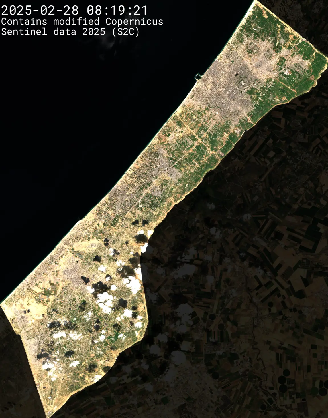 Asset pack preview 3