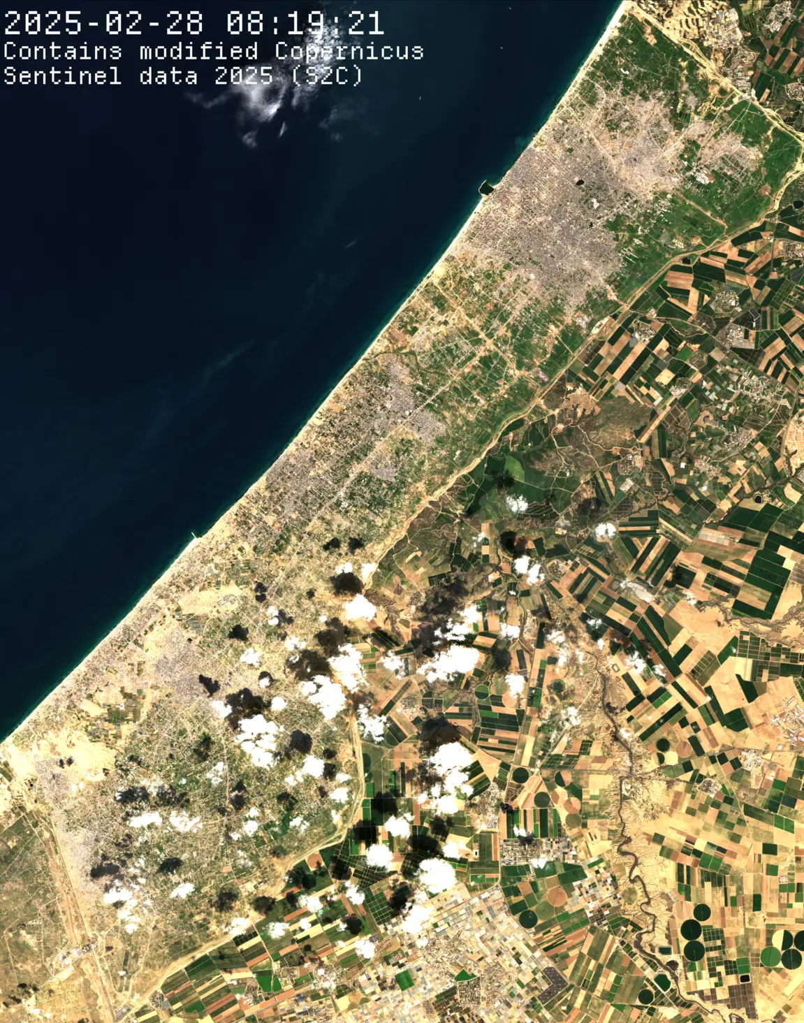 Asset pack preview 4